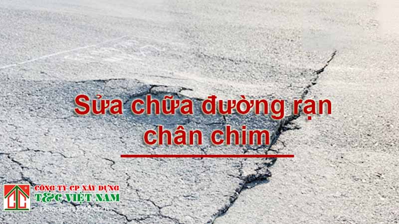 Sửa chữa mặt đường asphalt nóng bị rạn chân chim