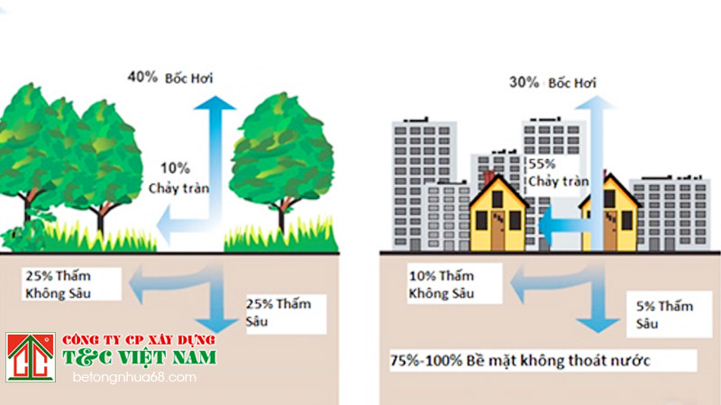 ứng dụng của bê tông siêu thoát nước