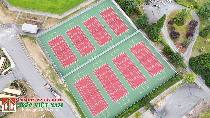 Thế nào là trend pickleball