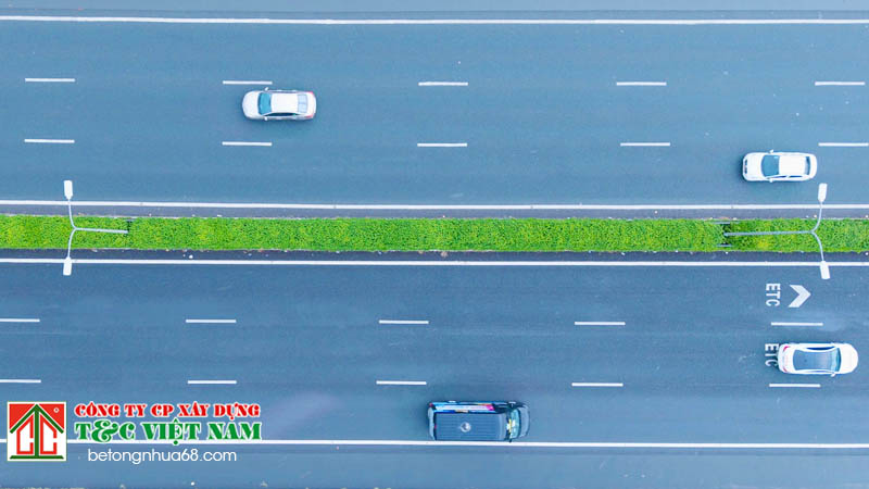 những loại cây được khuyên dùng khi trồng cây xanh ở giữa đường cao tốc