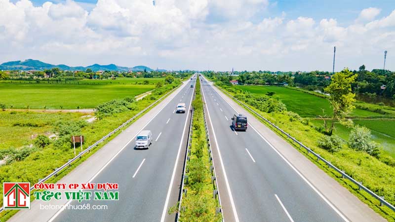 những lợi ích thiết thực của việc trồng cây xanh ở dải phân cách trên đường