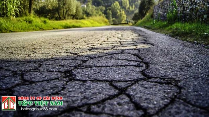 Khả năng thích nghi vượt trội trong điều kiện thời tiết khắc nghiệt